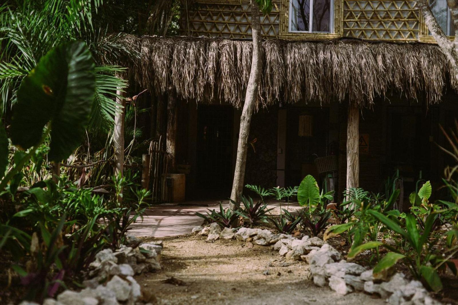 Lunah Xcacel Suites Chemuyil Extérieur photo